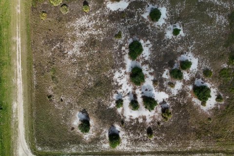 Land in Okeechobee, Florida № 2221192 - photo 19