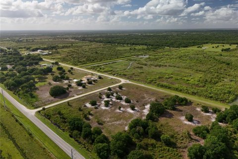Land in Okeechobee, Florida № 2221192 - photo 9