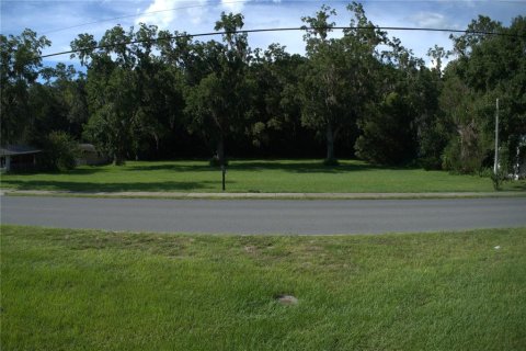 Land in Dunnellon, Florida № 1841736 - photo 2