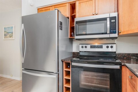 Condo in Saint Pete Beach, Florida, 1 bedroom  № 2330653 - photo 16