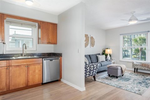 Condo in Saint Pete Beach, Florida, 1 bedroom  № 2330653 - photo 18