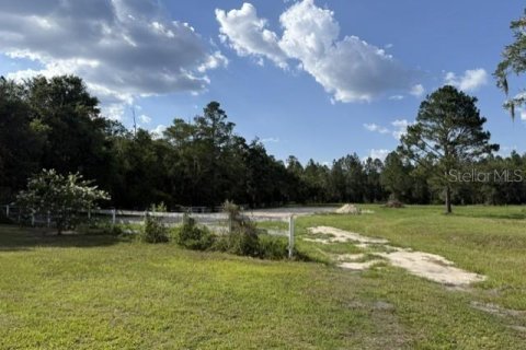 Terrain à vendre à Lake Butler, Floride № 2205219 - photo 2