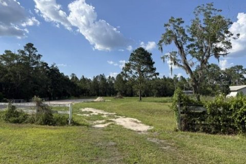 Terrain à Lake Butler, Floride № 2205219
