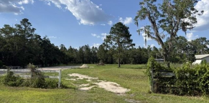 Terrain à Lake Butler, Floride № 2205219