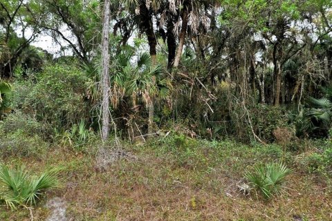 Terrain à North Port, Floride № 2160797