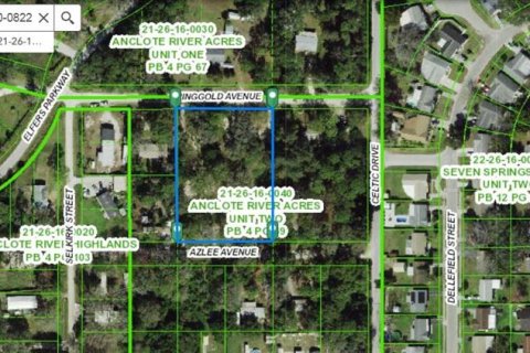 Land in New Port Richey, Florida № 1722163 - photo 1