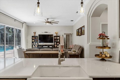 House in Fish Hawk, Florida 5 bedrooms, 450.85 sq.m. № 1654858 - photo 21