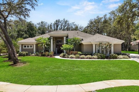 House in Fish Hawk, Florida 5 bedrooms, 450.85 sq.m. № 1654858 - photo 1