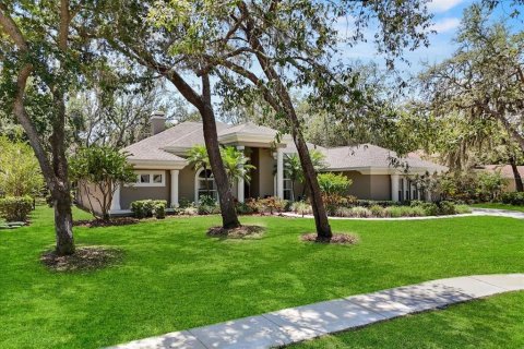 House in Fish Hawk, Florida 5 bedrooms, 450.85 sq.m. № 1654858 - photo 3