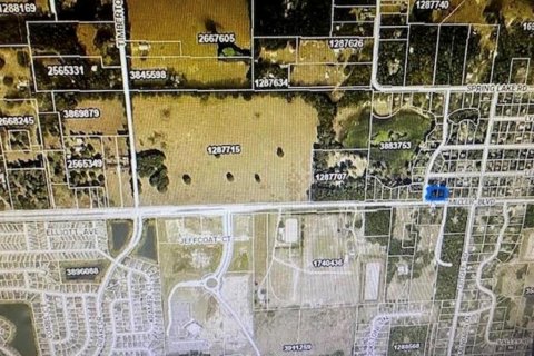 Land in Fruitland Park, Florida № 2095994 - photo 2