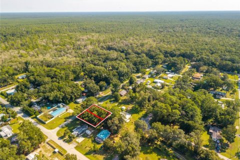 Land in Altoona, Florida № 2395861 - photo 10
