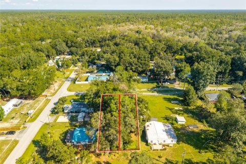Land in Altoona, Florida № 2395861 - photo 17