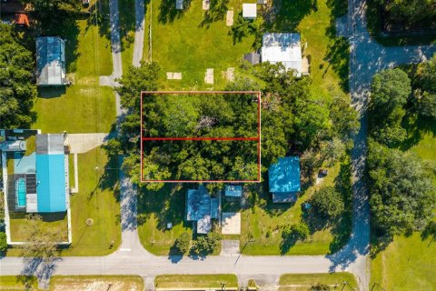 Land in Altoona, Florida № 2395861