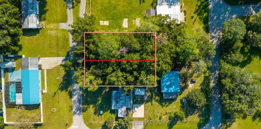 Land in Altoona, Florida № 2395861