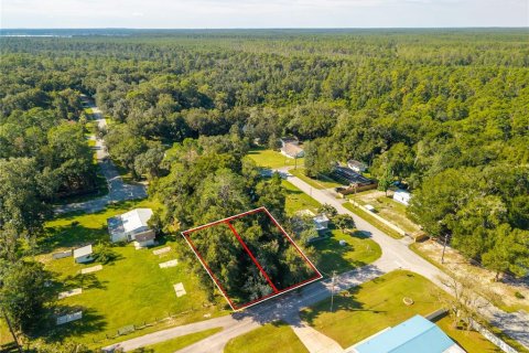 Land in Altoona, Florida № 2395861 - photo 8