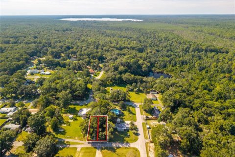 Land in Altoona, Florida № 2395861 - photo 14