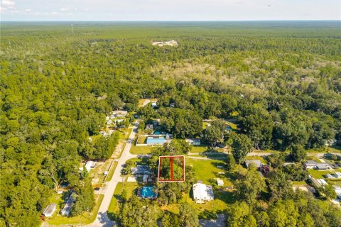 Land in Altoona, Florida № 2395861 - photo 11
