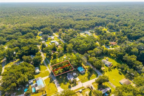 Land in Altoona, Florida № 2395861 - photo 15