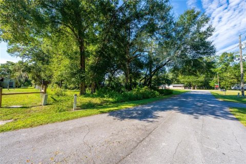 Land in Altoona, Florida № 2395861 - photo 3