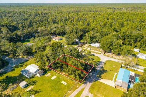 Land in Altoona, Florida № 2395861 - photo 9