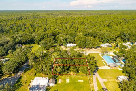 Land in Altoona, Florida № 2395861 - photo 19
