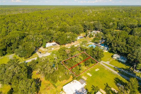 Land in Altoona, Florida № 2395861 - photo 18
