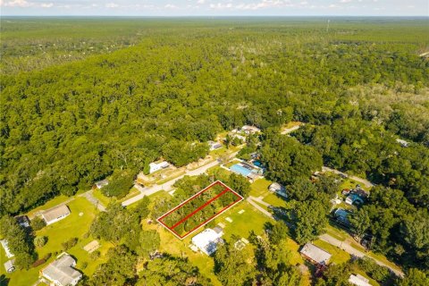 Land in Altoona, Florida № 2395861 - photo 12