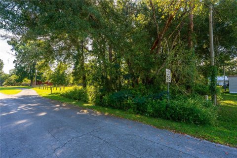Land in Altoona, Florida № 2395861 - photo 4
