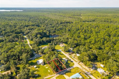 Land in Altoona, Florida № 2395861 - photo 13