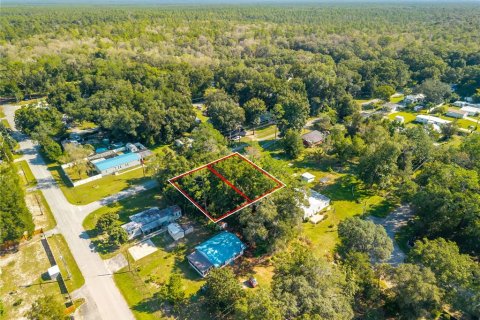 Land in Altoona, Florida № 2395861 - photo 16