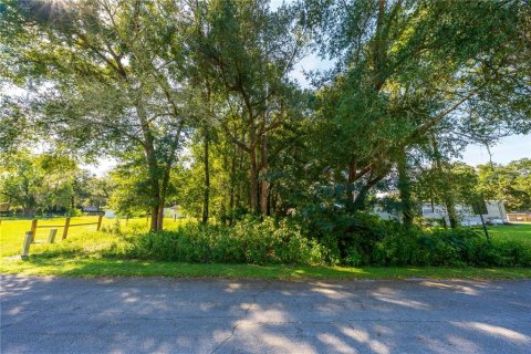 Land in Altoona, Florida № 2395861 - photo 5