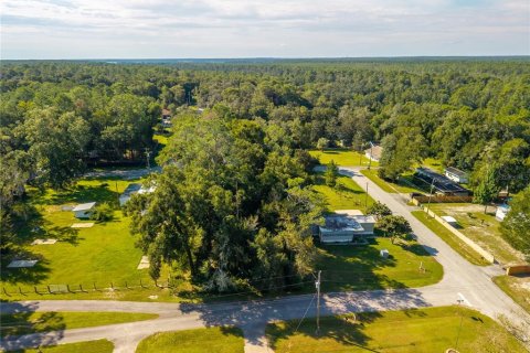 Land in Altoona, Florida № 2395861 - photo 6