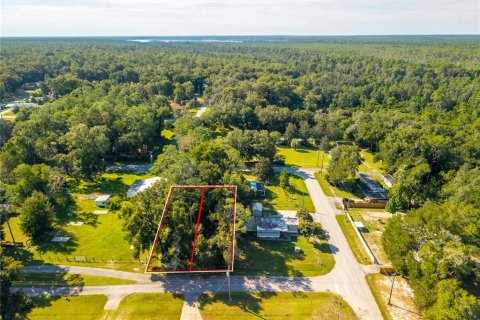 Land in Altoona, Florida № 2395861 - photo 7