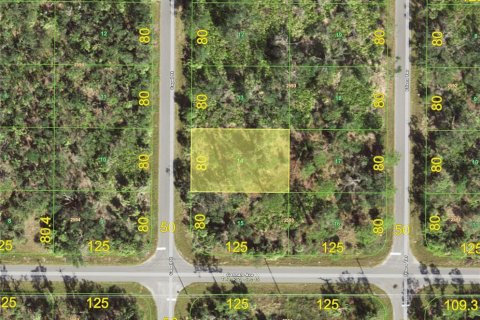 Land in Port Charlotte, Florida № 2165496