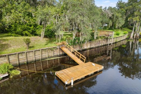 Villa ou maison à vendre à Old Town, Floride: 5 chambres, 386.47 m2 № 2342610 - photo 4