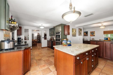 Villa ou maison à vendre à Old Town, Floride: 5 chambres, 386.47 m2 № 2342610 - photo 16