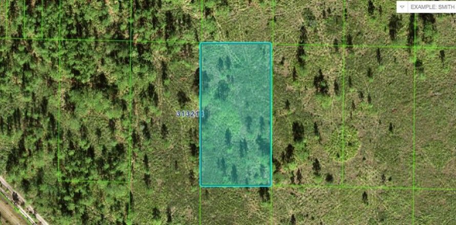 Terreno en Frostproof, Florida № 2164029