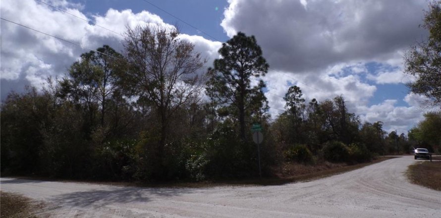 Terrain à Punta Gorda, Floride № 2228575