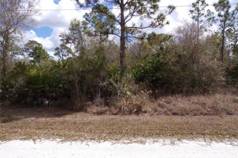 Terrain à vendre à Punta Gorda, Floride № 2228575 - photo 5