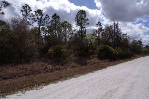 Terrain à vendre à Punta Gorda, Floride № 2228575 - photo 6