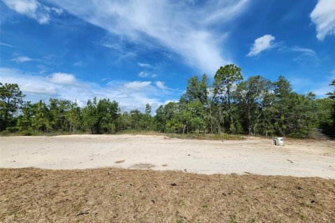 House in Dunnellon, Florida 3 bedrooms, 129.51 sq.m. № 1795676 - photo 2