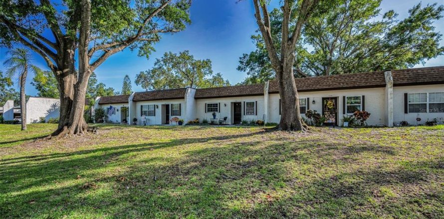 Condo in Palm Harbor, Florida, 2 bedrooms № 1719451