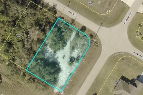 Land in Lehigh Acres, Florida № 2164329 - photo 2