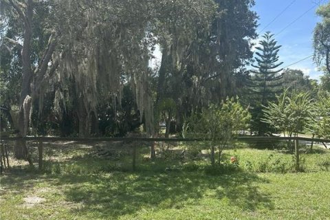 Terrain à Leesburg, Floride № 2162424