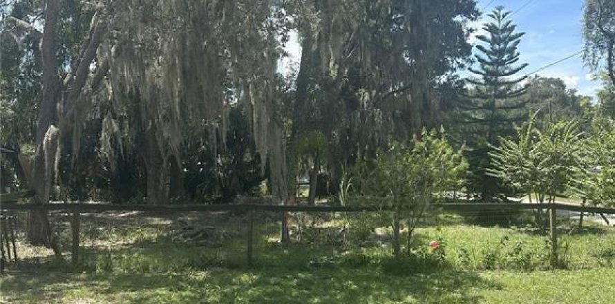 Terrain à Leesburg, Floride № 2162424