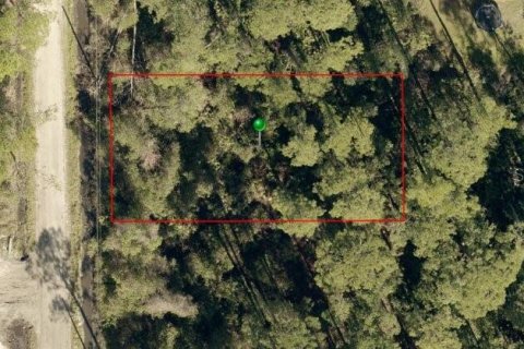 Land in DeLand, Florida № 2161000