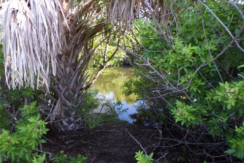 Land in Placida, Florida № 2164230 - photo 5