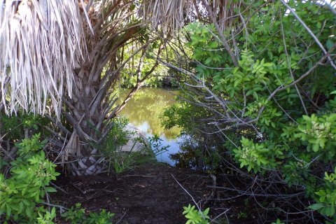 Land in Placida, Florida № 2164230 - photo 12
