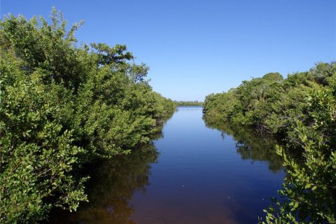 Land in Placida, Florida № 2164230 - photo 4