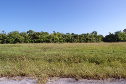 Land in Placida, Florida № 2164230 - photo 2